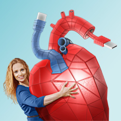 hart netwerk